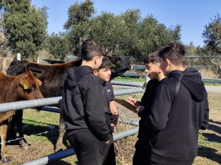 Εκπαιδευτική Εξόρμηση στο Λιβάδι Ακρωτηρίου: Ένα Ταξίδι Γνώσης και Περιβαλλοντικής Ευαισθητοποίησης