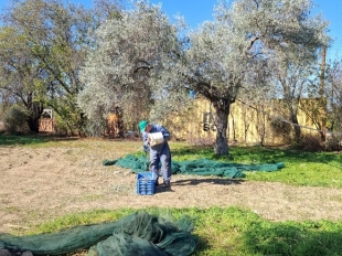 Νέοι Δημοσιογράφοι για το Περιβάλλον