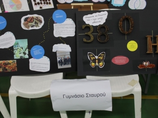 Διαπολιτισμικό Φεστιβάλ