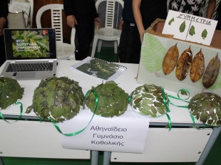 Διαπολιτισμικό Φεστιβάλ