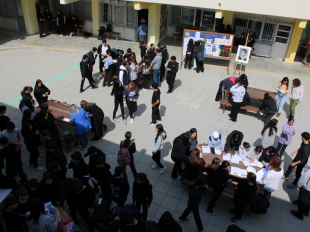 Παγκόσμια Ημέρα Μαθηματικών